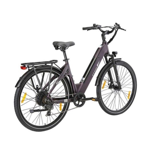 Elektrofahrrad TTGO C3 SE - 250W 52Nm 36V 18Ah