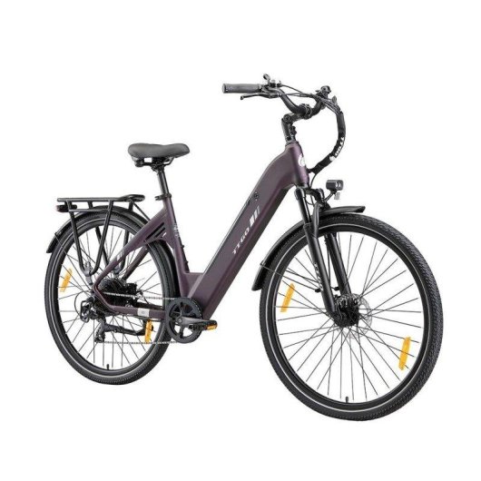 Elektrofahrrad TTGO C3 SE - 250W 52Nm 36V 18Ah