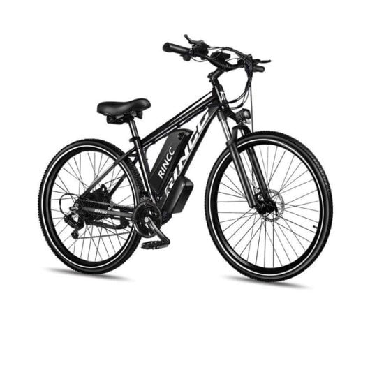 Bicicletta elettrica MTB RINCC RN50 750 W, 48 V 15 Ah, Shimano 21 velocità