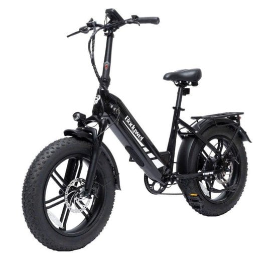 Bicicletta Elettrica Da Turismo Bodywel F20pro