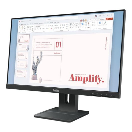 Ecran PC Lenovo ThinkVision E24-40 23,8" Full HD 100 Hz IPS 4 ms