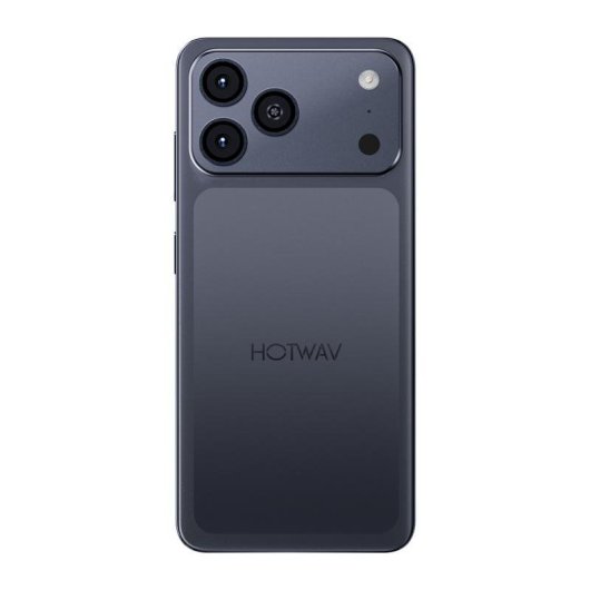 HOTWAV A17 Pro Max 4G 4 Go 256 Go 6,75" Gris