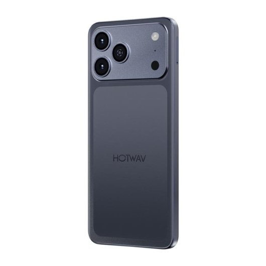 HOTWAV A17 Pro Max 4G 4 Go 256 Go 6,75" Gris