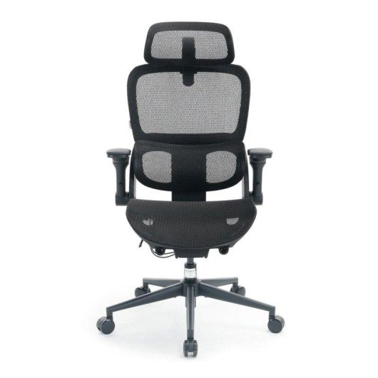 Silla Ergonómica Sihoo B300 Pro Soporte Lumbar 4D Reposabrazos 6D Malla Negra