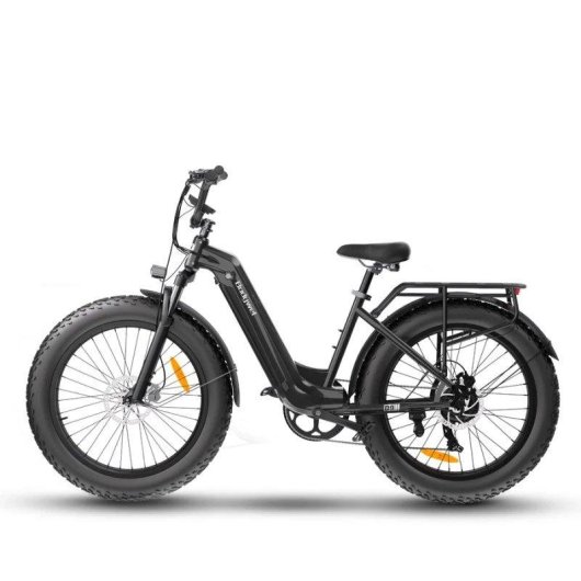 Bicicletta elettrica Bodywel D9 750 W 48 V 15 Ah 26 pollici