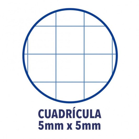 Spiralblock Oxford Classic Gruen A4 90 g/m2