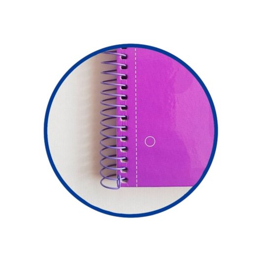 Notizheft Oxford Europeanbook 1 A4 Gitters Spiral violett