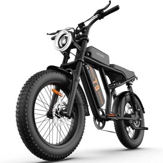 Bicicleta Eléctrica URLIFE T9 250W 48V 100 km 20" Todoterreno
