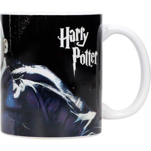 SD Toys Harry Potter Voldemort mok van keramiek 320 ml