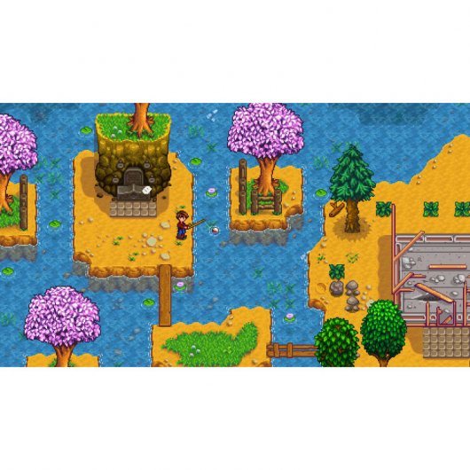 Stardew Valley Collectors Edition PS4
