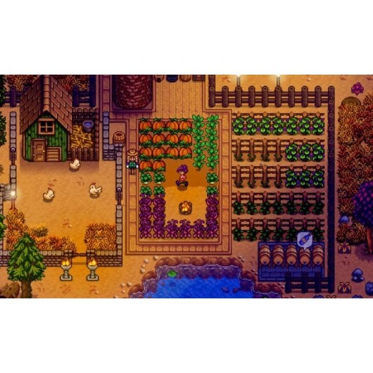 Stardew Valley Collectors Edition PS4