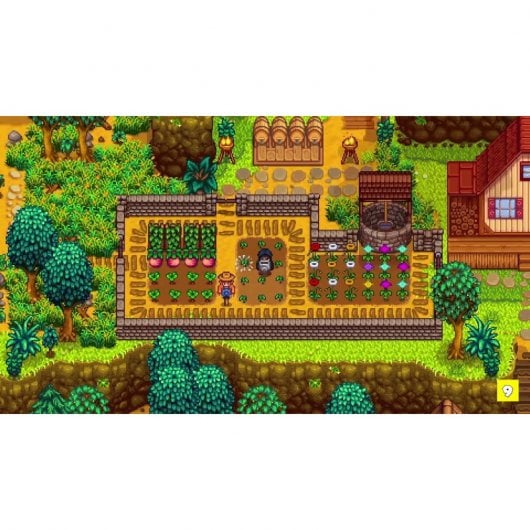 Stardew Valley Collectors Edition PS4