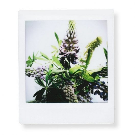 Fujifilm Instax Square Sofortbildfilm 10 Stück(e) 86 x 72 mm