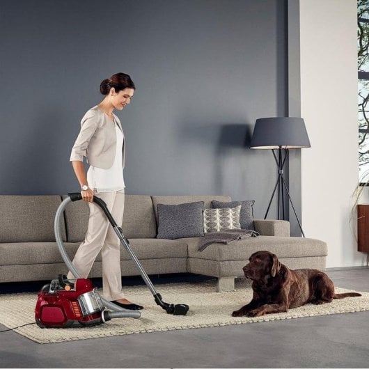 Aspirateur sans Sac AEG LX7-2-CR-A 750W Animaux Allergies Filtration HEPA 1.4L