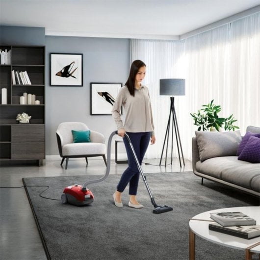 Aspirateur avec Sac AEG VX4-1-WR-P 750W Animaux Sols Délicats Filtre E12 3L