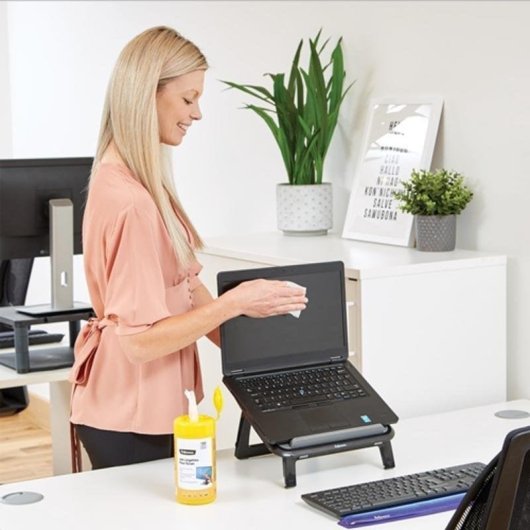 Salviette per Pulizia Fellowes 100 Pezzi