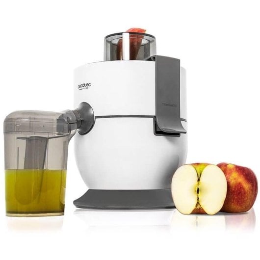 Licuadora Cecotec Strong Titanium 19000 1000W 2 vitesses disque titane