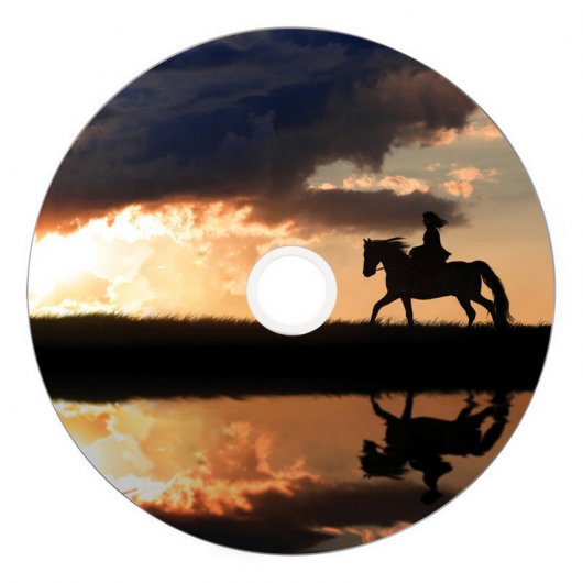 Verbatim DVD+R DL Doble Capa 8x Printable Tarrina 25 Unidades