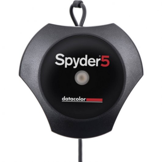 DataColor Spyder5Express Calibrador Digital de Monitor