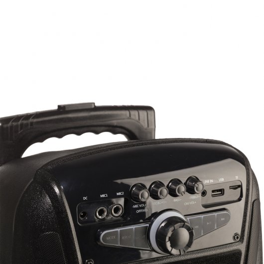 NGS Wild Mambo Altavoz Bluetooth 35W