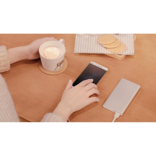 Xiaomi Mi PowerBank 2 10000mAh Plata