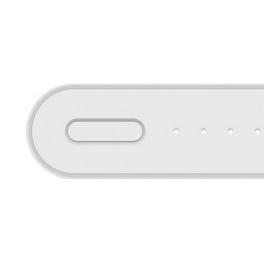 Xiaomi Mi PowerBank 2 10000mAh Plata