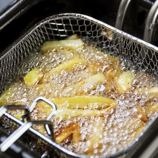 Friteuse traditionnelle Cecotec CleanFry 1.5L 1000W acier inoxydable filtre OilCleaner