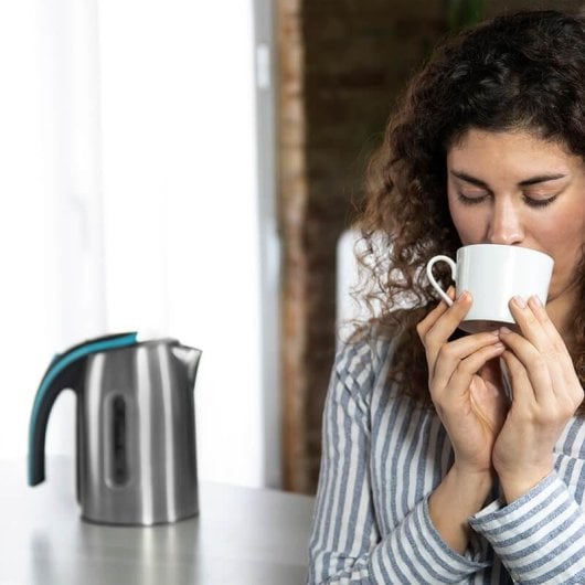 Elektrischer Wasserkocher Cecotec ThermoSense 270 Steel 1,7L 2200W BPA-frei Edelstahl