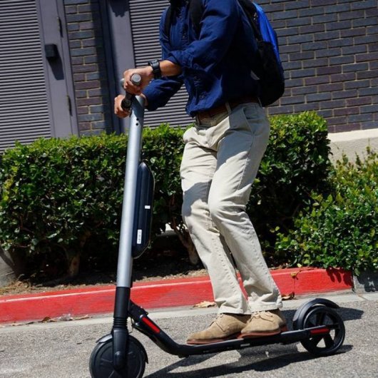Segway KickScooter ES2 Patinete Eléctrico Plata/Negro