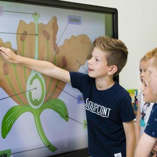 CTOUCH Laser Sky 65" Pantalla Interactiva UltraHD 4K Táctil