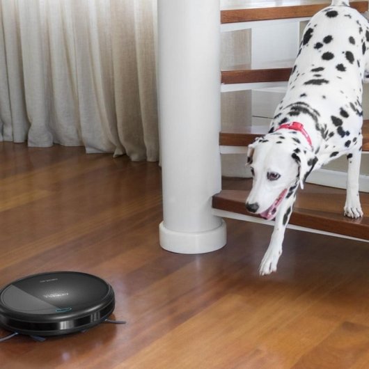 Cecotec Conga Serie 950