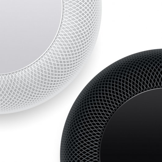 Altoparlante wireless Apple HomePod grigio siderale