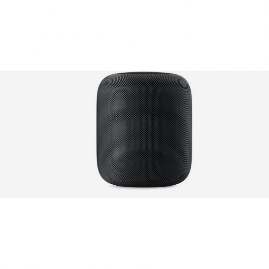 Altoparlante wireless Apple HomePod grigio siderale