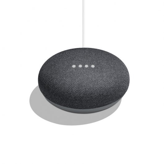 Packen Sie 2x Google Home Mini Smart Speaker und Charcoal Assistant ein