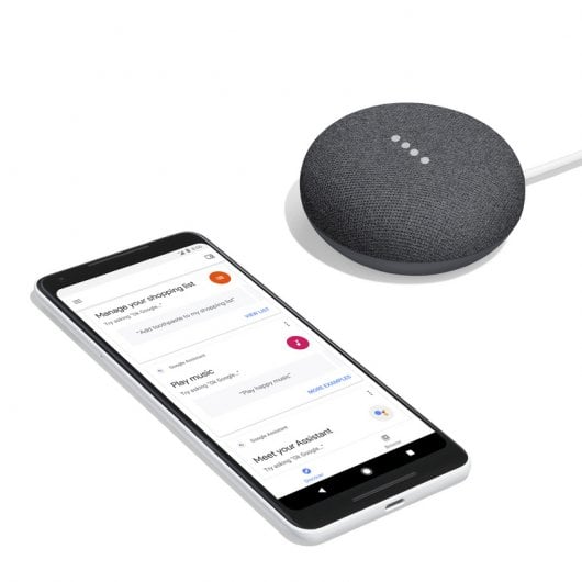 Packen Sie 2x Google Home Mini Smart Speaker und Charcoal Assistant ein