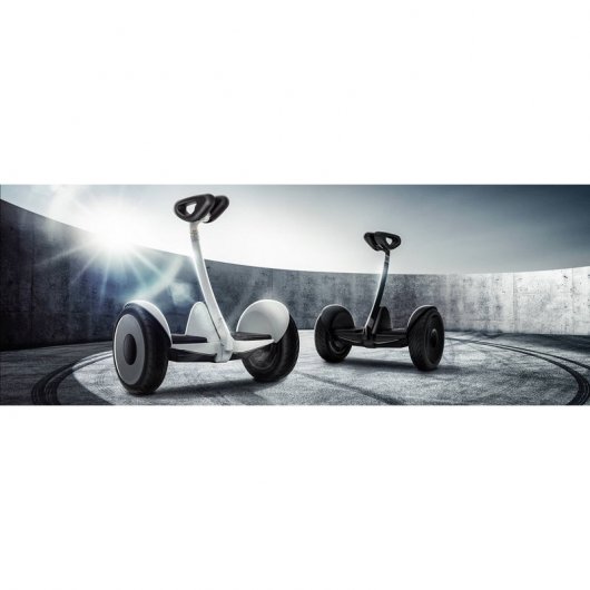 Xiaomi Ninebot Mini Scooter Auto Equilibrio Negro