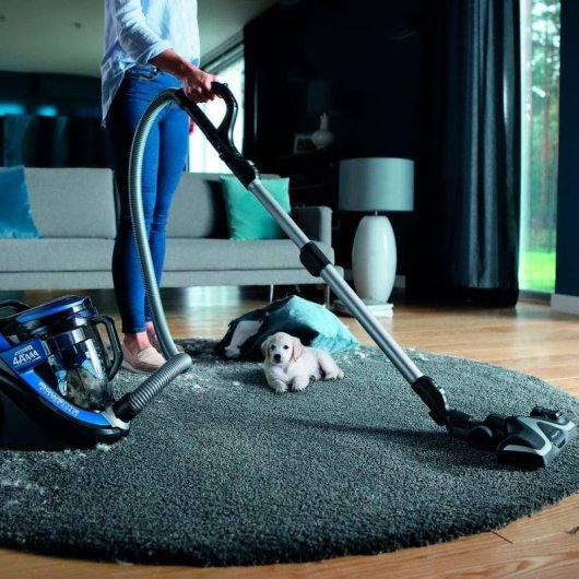 Rowenta Silence Force 4A+ Aspirador sin Bolsa 550W