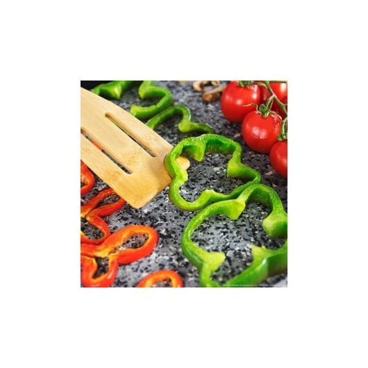 Griglia elettrica Cecotec Rock and Water 3000 Twin superficie reversibile 2200W