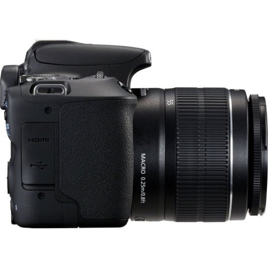 Canon EOS 200D 24.2MP + EF-S 18-55mm F/3.5-5.6 III