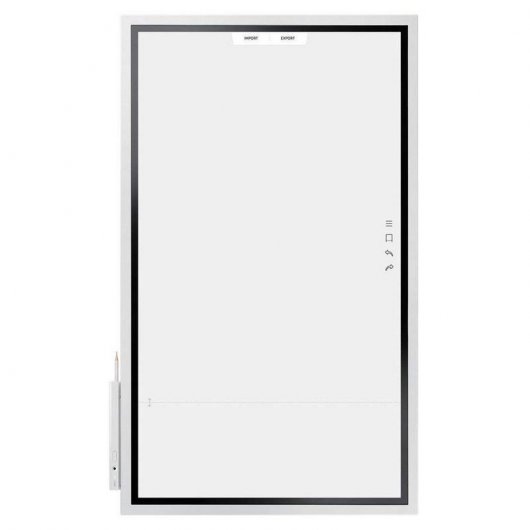 Samsung Flip 55" Pizarra Digital