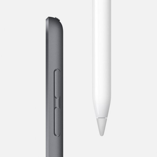 Apple iPad Mini 5 256GB Wifi Gris Espacial