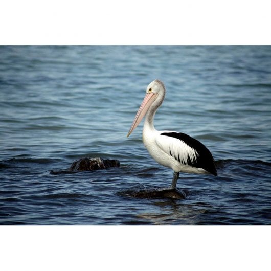 Tamron A17s 70-300mm F4-5.6 Montagem Sony