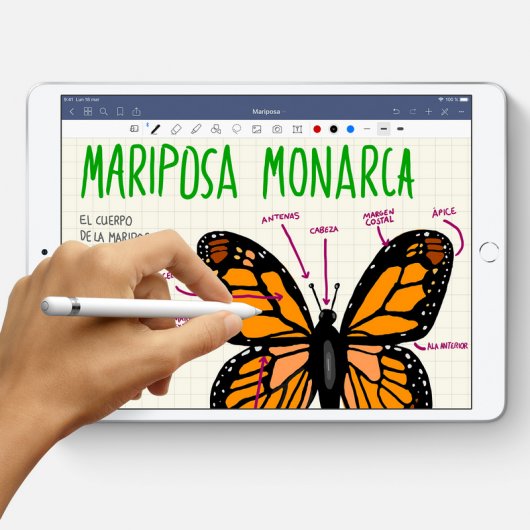 Apple iPad Air 4G LTE 256 Go 26,7 cm (10.5") 3 Go Wi-Fi 5 (802.11ac) iOS 12 Or