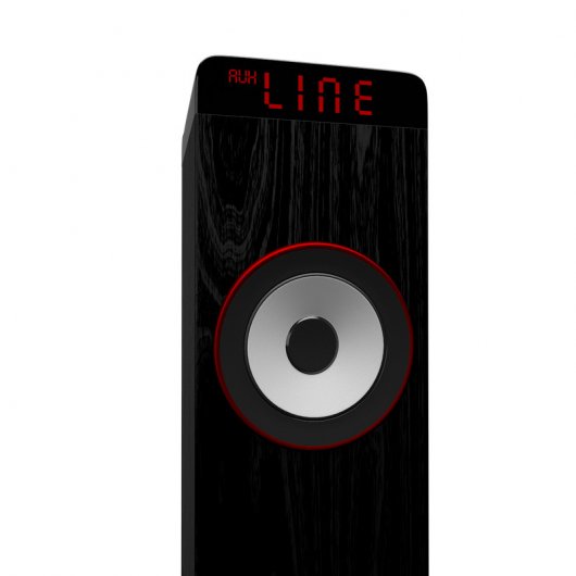 Primux TW01 Torre de Sonido Bluetooth 30W Negra