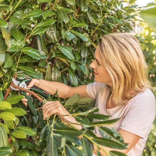 Bosch EasyPrune Tijeras para Jardín con Batería 5.4W 3.6V