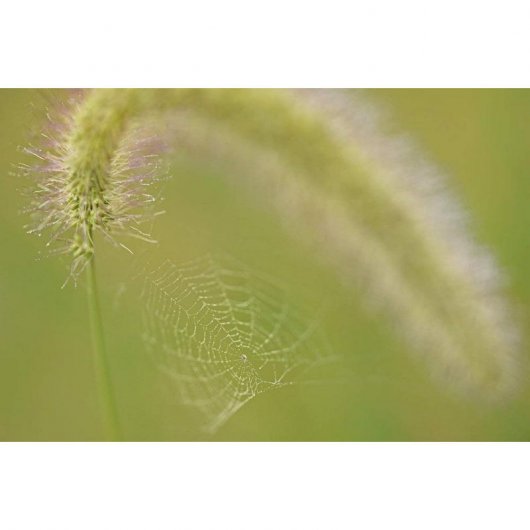 Tamron F017E Objetivo SP 90mm F2.8 Di Macro 1:1 VC USD para Canon