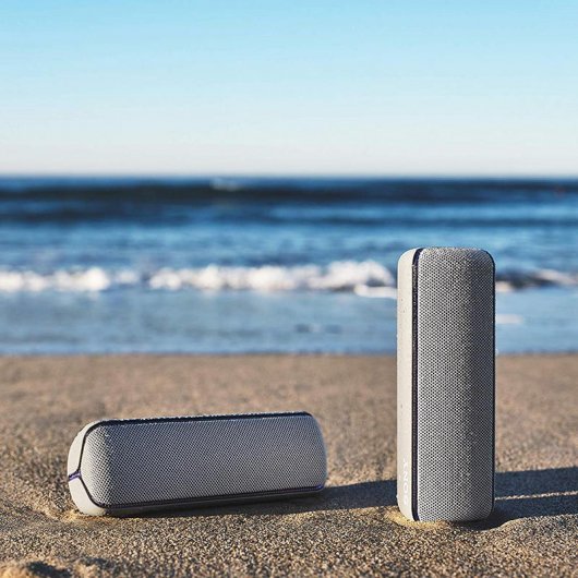 Sony SRS-XB32 Altavoz Bluetooth Gris