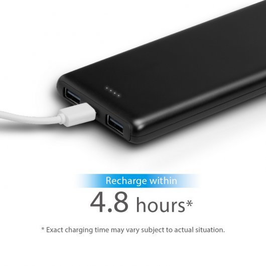 TP-Link TL-PB10000 Powerbank 10000mAh Negra