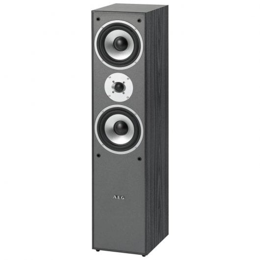 AEG LB 4711 Torre de Sonido 500W Gris