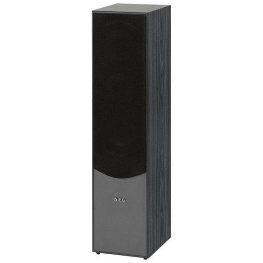 AEG LB 4711 Torre de Sonido 500W Gris